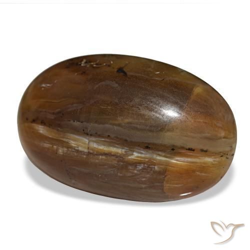 Opale marron naturelle coupe ovale, 26,12 ct, opaque