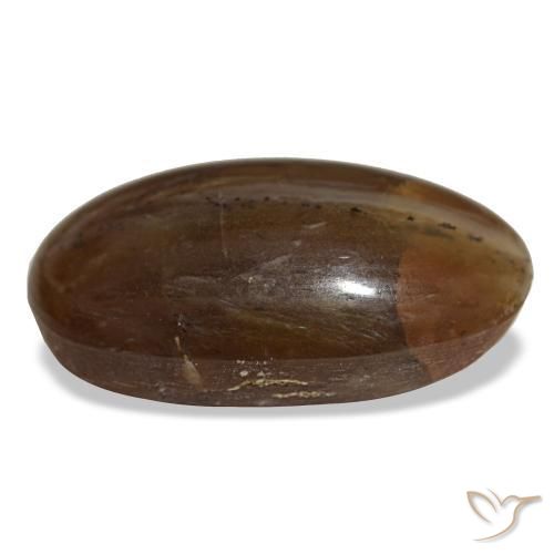 Opale marron naturelle coupe ovale, 26,12 ct, opaque