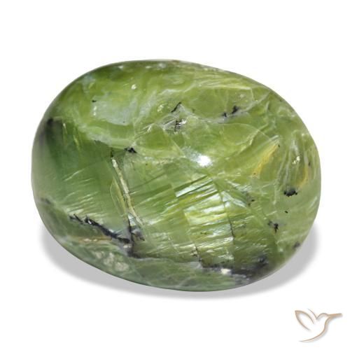 Opale vert naturelle coupe ovale, 14,55 ct, opaque