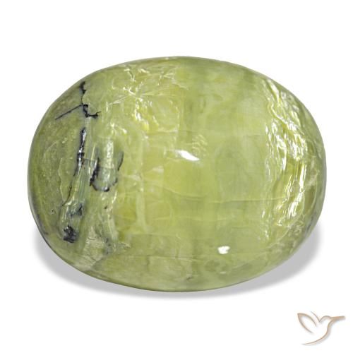 Opale vert naturelle coupe ovale, 14,90 ct, opaque