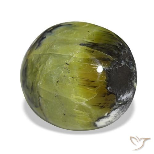 Opale vert naturelle coupe ovale, 7,49 ct, opaque