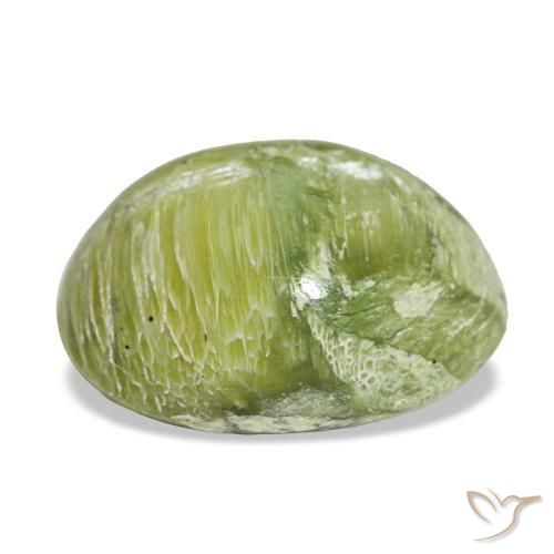 Opale vert naturelle coupe ovale, 7,16 ct, opaque