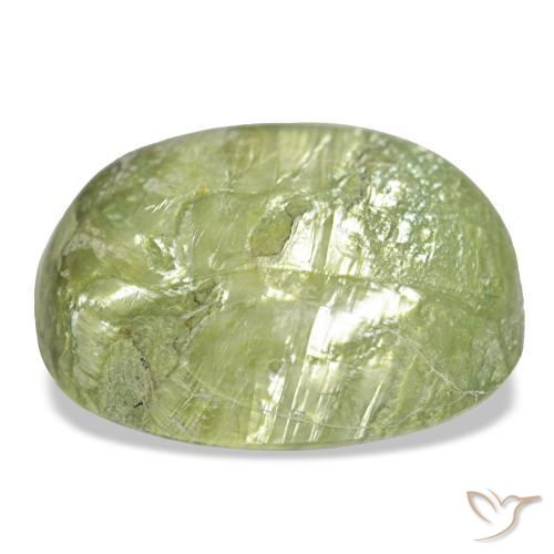 Opale vert naturelle coupe ovale, 25,50 ct, opaque