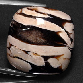 Jaspe de bois d'arachide Multicolore naturelle Coupe coussin, 25.88 ct, Opaque