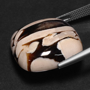 Jaspe de bois d'arachide Multicolore naturelle Coupe coussin, 25.88 ct, Opaque