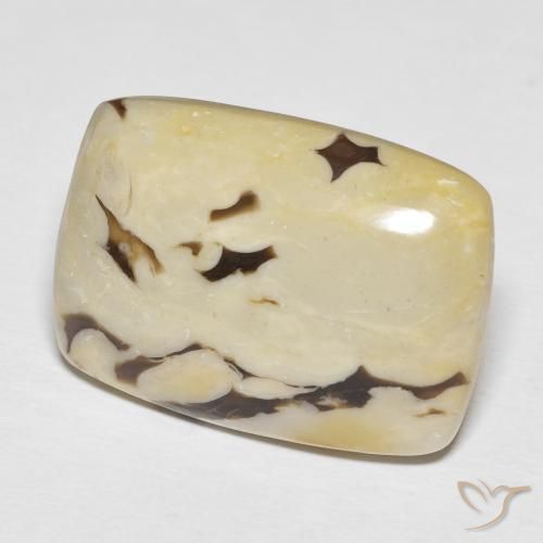 Jaspe de bois d'arachide Multicolore naturelle Coussin, 23.14 ct, Opaque