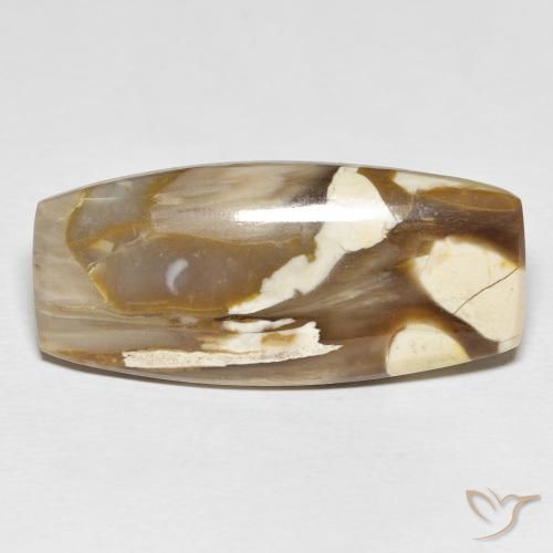 31.21ct Naturel Multicolore Jaspe de bois d'arachide, Coussin, Opaque