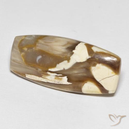 Jaspe de bois d'arachide Multicolore naturelle Coussin, 31.21 ct, Opaque