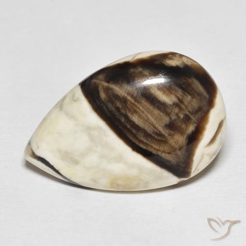 21.16ct Naturel Multicolore Jaspe de bois d'arachide, En forme de poire, Opaque