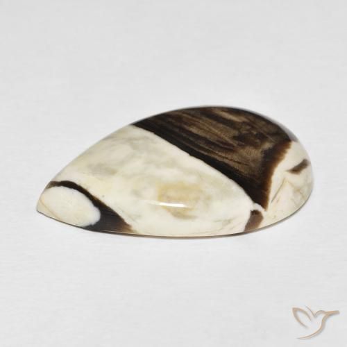 Jaspe de bois d'arachide Multicolore naturelle En forme de poire, 21.16 ct, Opaque