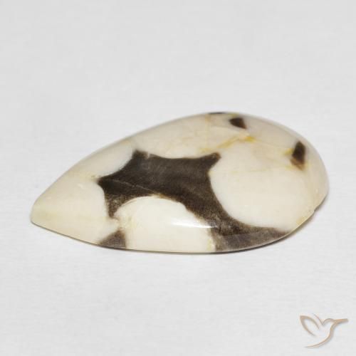 Jaspe de bois d'arachide Multicolore naturelle En forme de poire, 18.51 ct, Opaque