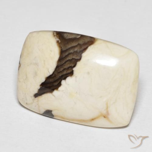Jaspe de bois d'arachide Multicolore naturelle Coussin, 21.18 ct, Opaque