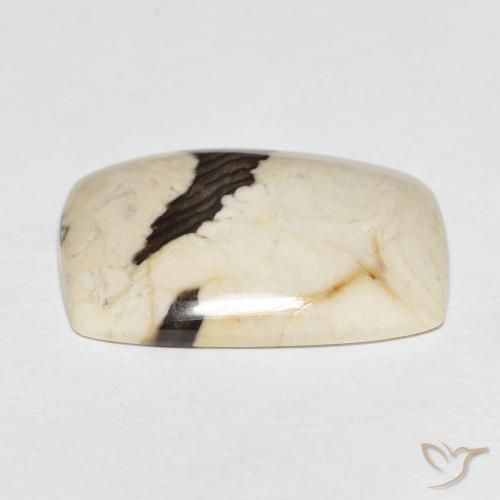 Jaspe de bois d'arachide Multicolore naturelle Coussin, 21.18 ct, Opaque