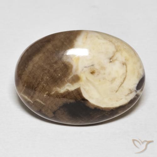 20.56ct Naturel Multicolore Jaspe de bois d'arachide, ovale, Opaque