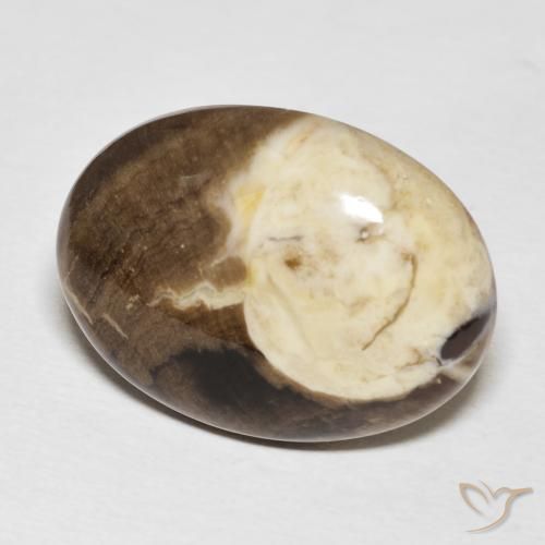 Jaspe de bois d'arachide Multicolore naturelle ovale, 20.56 ct, Opaque