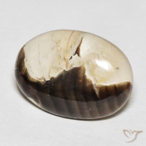 Jaspe de bois d'arachide Multicolore naturelle ovale, 15.62 ct, Opaque
