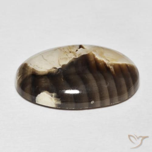 Jaspe de bois d'arachide Multicolore naturelle ovale, 15.62 ct, Opaque