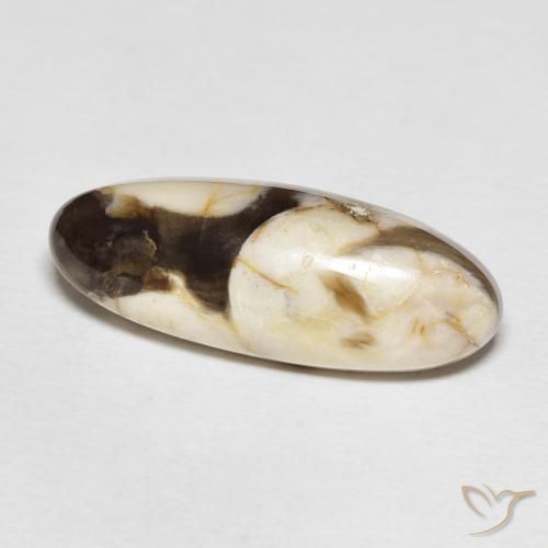 Jaspe de bois d'arachide Multicolore naturelle ovale, 12.85 ct, Opaque