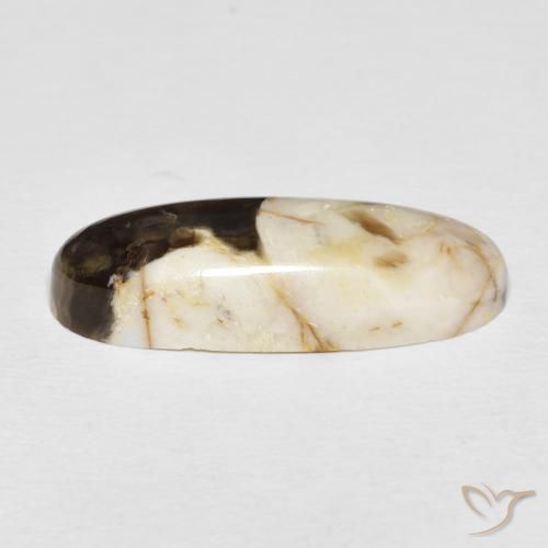 Jaspe de bois d'arachide Multicolore naturelle ovale, 12.85 ct, Opaque