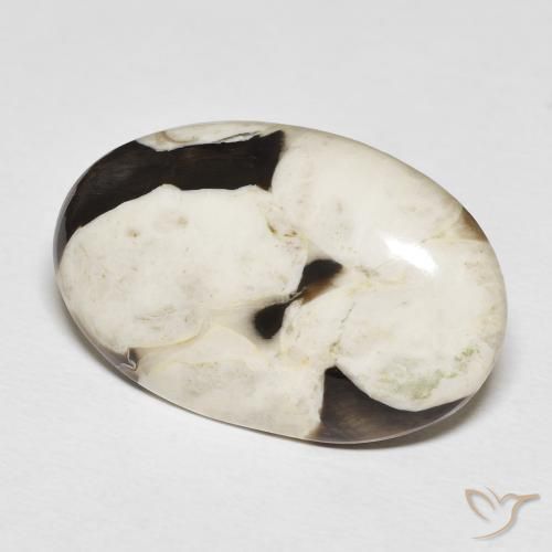 Jaspe de bois d'arachide Multicolore naturelle ovale, 22.29 ct, Opaque