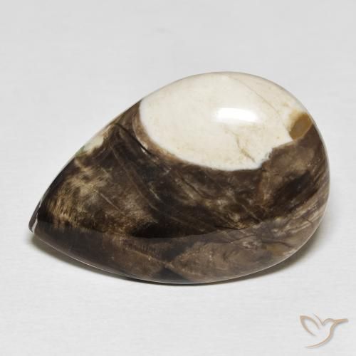 25.19ct Naturel Multicolore Jaspe de bois d'arachide, En forme de poire, Opaque