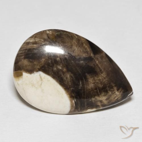 Jaspe de bois d'arachide Multicolore naturelle En forme de poire, 25.19 ct, Opaque