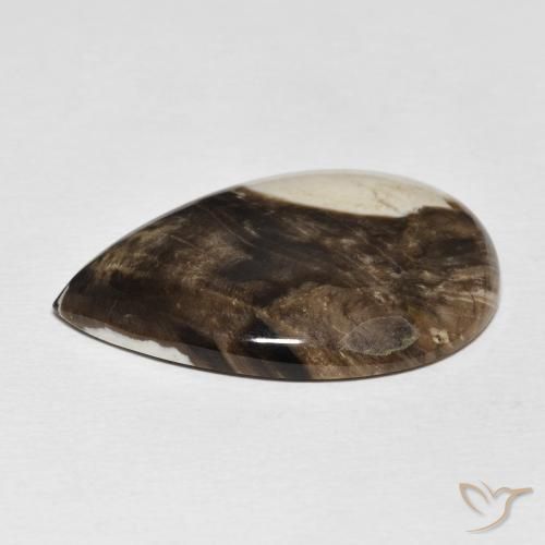 Jaspe de bois d'arachide Multicolore naturelle En forme de poire, 25.19 ct, Opaque