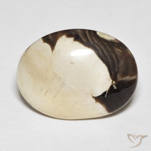 19.54ct Naturel Multicolore Jaspe de bois d'arachide, ovale, Opaque