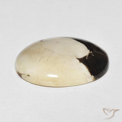 Jaspe de bois d'arachide Multicolore naturelle ovale, 19.54 ct, Opaque