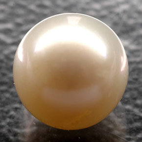 perle Crème naturelle Sphère / Boule, 2.64 ct, Opaque