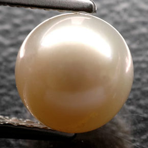 perle Crème naturelle Sphère / Boule, 2.64 ct, Opaque