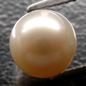 perle Crème naturelle Sphère / Boule, 2.64 ct, Opaque