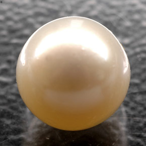 Perle crème naturelle sphère / boule, 2,52 ct, opaque