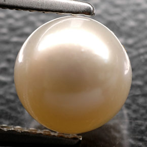 Perle crème naturelle sphère / boule, 2,52 ct, opaque