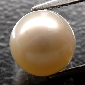 Perle crème naturelle sphère / boule, 2,52 ct, opaque