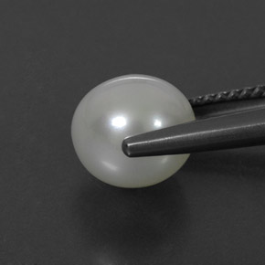Perle crème naturelle sphère / boule, 3,55 ct, opaque