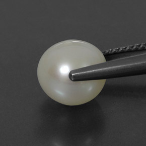 Perle crème naturelle sphère / boule, 3,75 ct, opaque