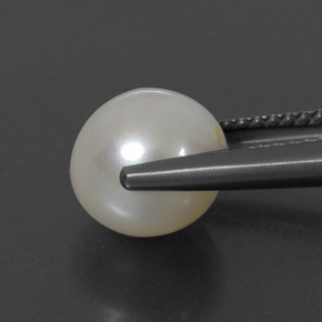 perle Crème naturelle Sphère / Boule, 3.82 ct, Opaque