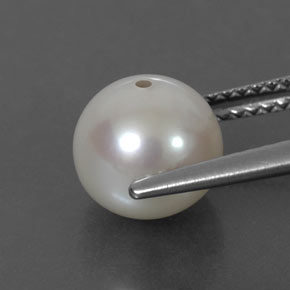 Perle crème naturelle sphère / boule, 3,81 ct, opaque