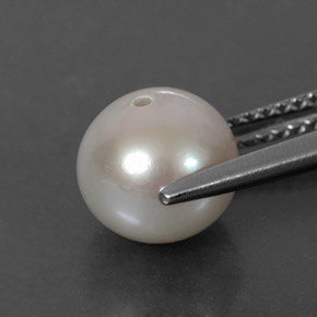 Perle crème naturelle sphère / boule, 3,60 ct, opaque