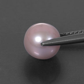 Perle gris naturelle sphère / boule, 3,14 ct, opaque