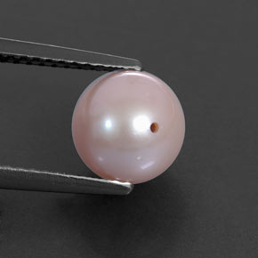 Perle rose naturelle sphère / boule, 3,01 ct, opaque