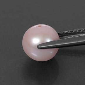 Perle rose naturelle sphère / boule, 3,01 ct, opaque