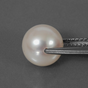 Perle blanc naturelle sphère / boule, 3,98 ct, opaque