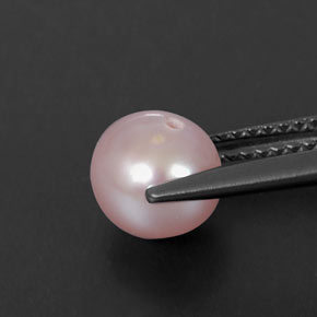 Perle rose naturelle sphère / boule, 2,48 ct, opaque
