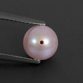 Perle rose naturelle sphère / boule, 2,53 ct, opaque