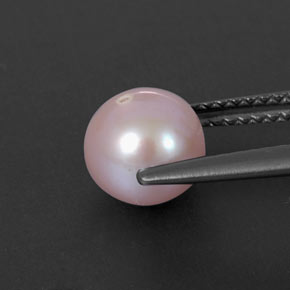 Perle rose naturelle sphère / boule, 2,53 ct, opaque