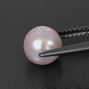 Perle rose naturelle sphère / boule, 2,91 ct, opaque