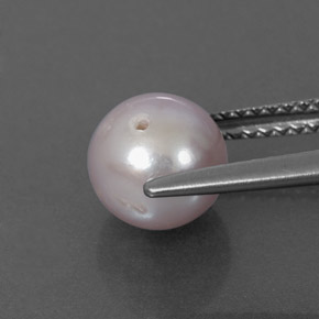 Perle rose naturelle sphère / boule, 2,65 ct, opaque