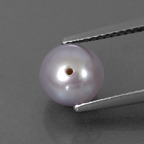 Perle gris naturelle sphère / boule, 2,87 ct, opaque